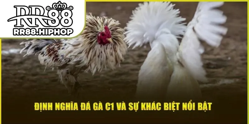 da-ga-c1-02