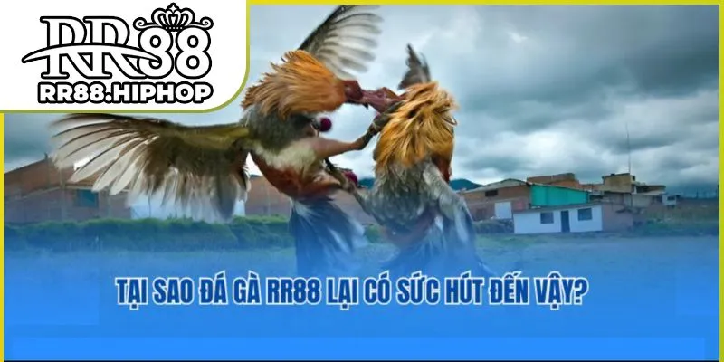 da-ga-rr88-01