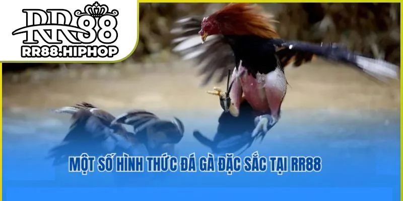 da-ga-rr88-02